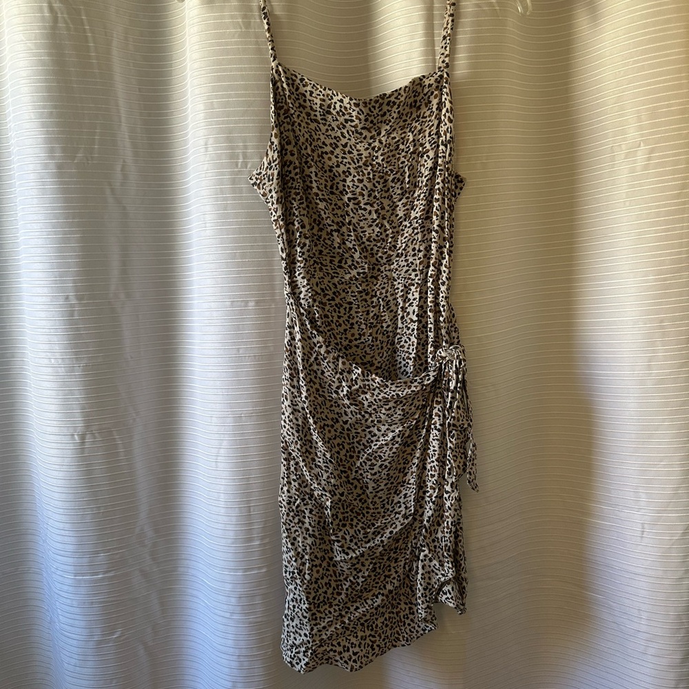 Abercrombie & Fitch Asymmetrical Leopard Print Dress